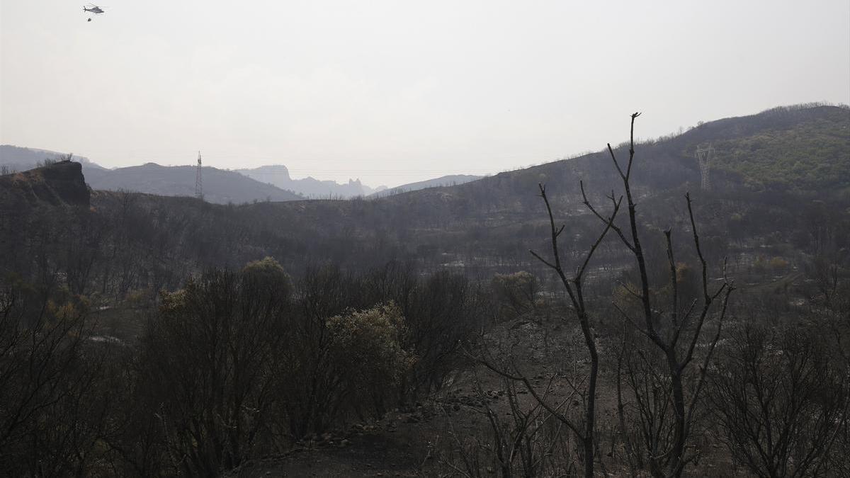 Campo quemado en la zona de Las Médulas, en El Bierzo (León).