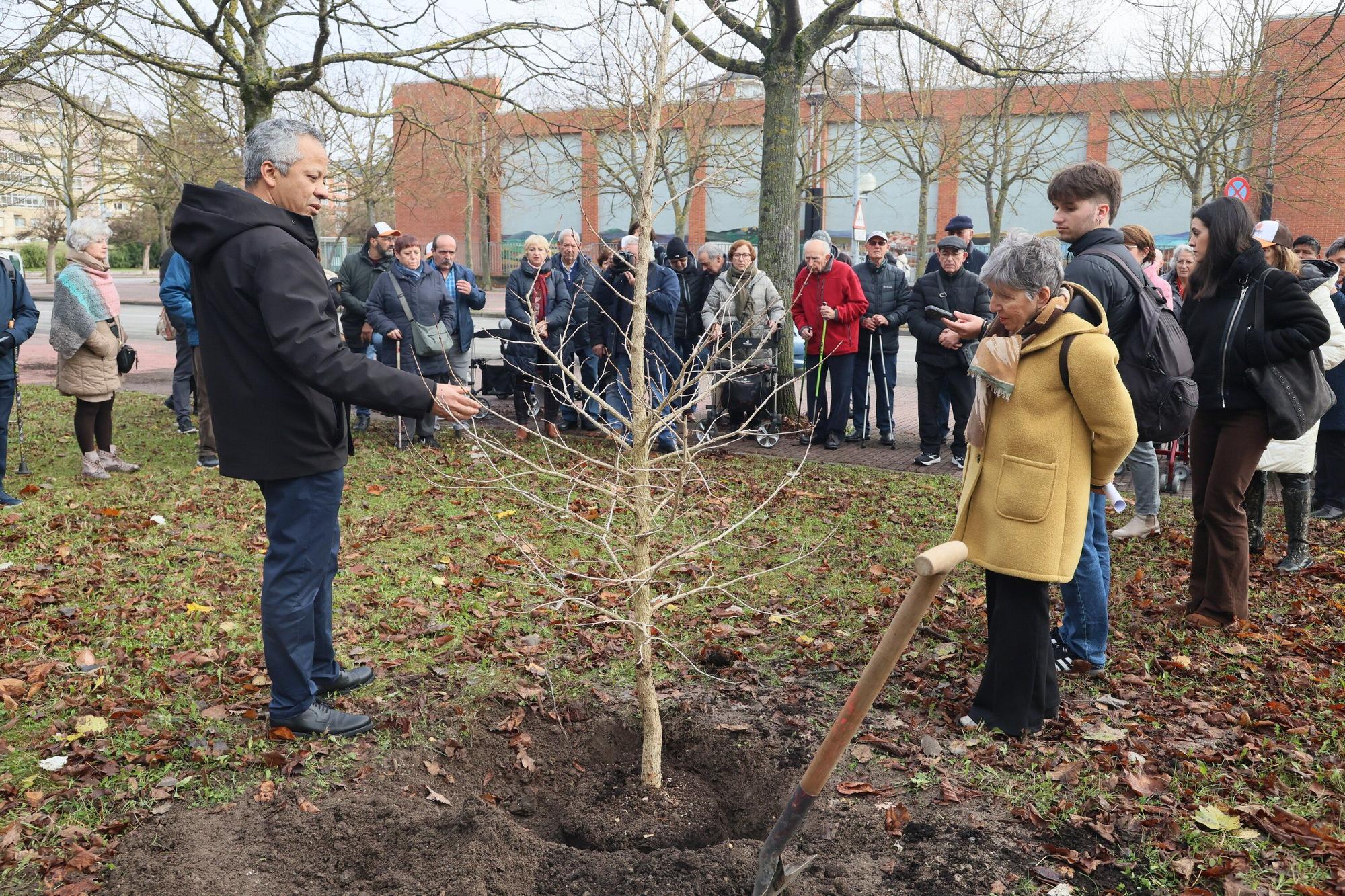En imágenes: Un árbol para 25 años de lucha contra el párkinson en Vitoria