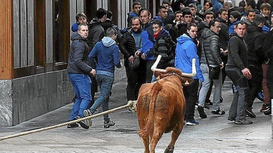 Varias personas corren delante de la vaquilla durante una sokamuturra de las fiestas de San Sebastian.
