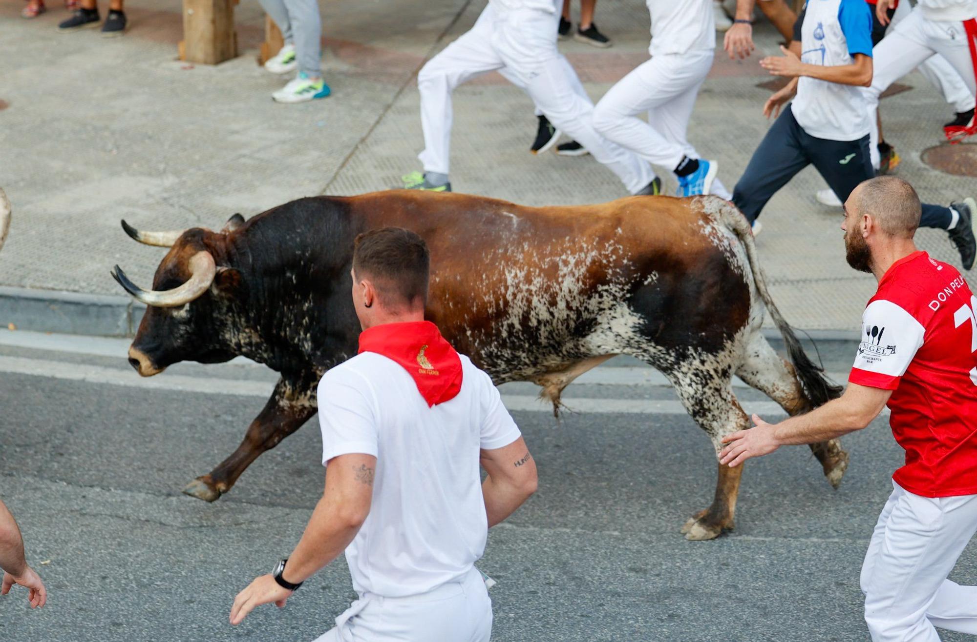 Fotos del tercer encierro de fiestas de Tafalla 2025