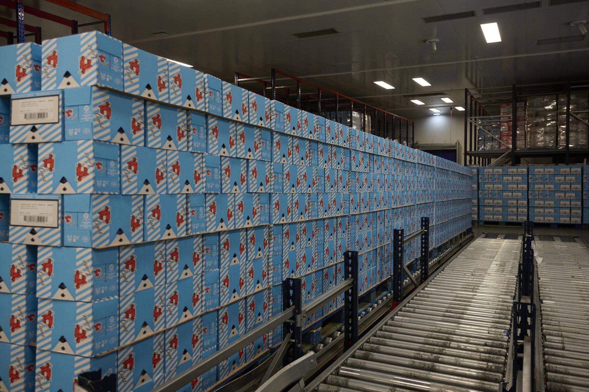 Fotos de la visita a la fábrica en Iraizotz de Grupo Bel