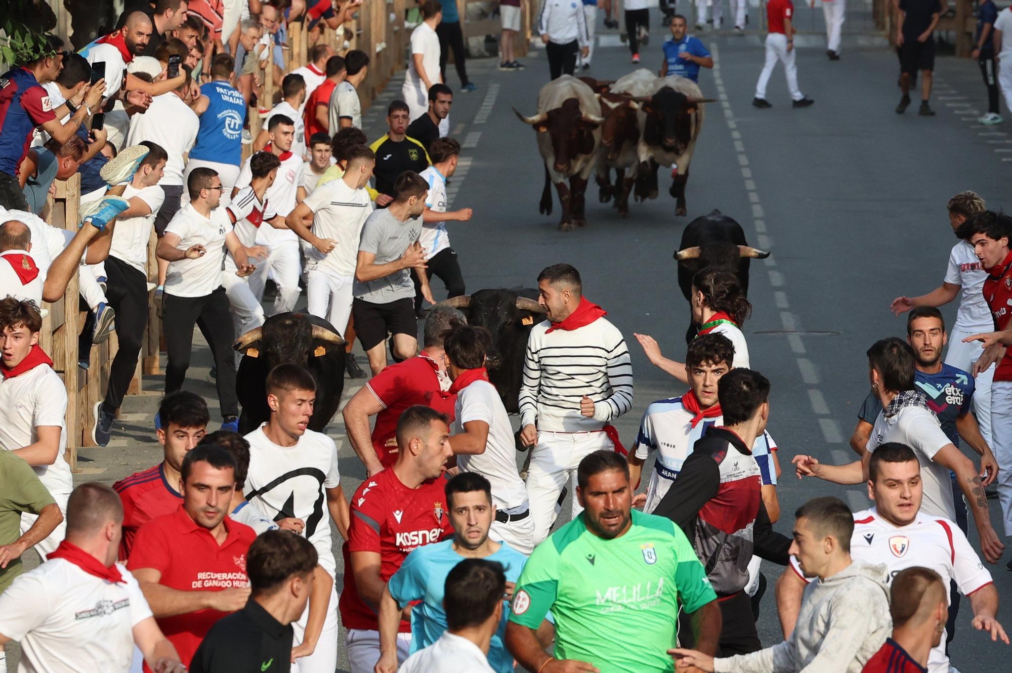 Fotos del cuarto encierro de fiestas de Tafalla 2025