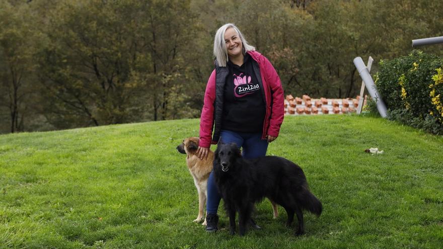 VÍDEO: Zintzoa, un refugio para perros