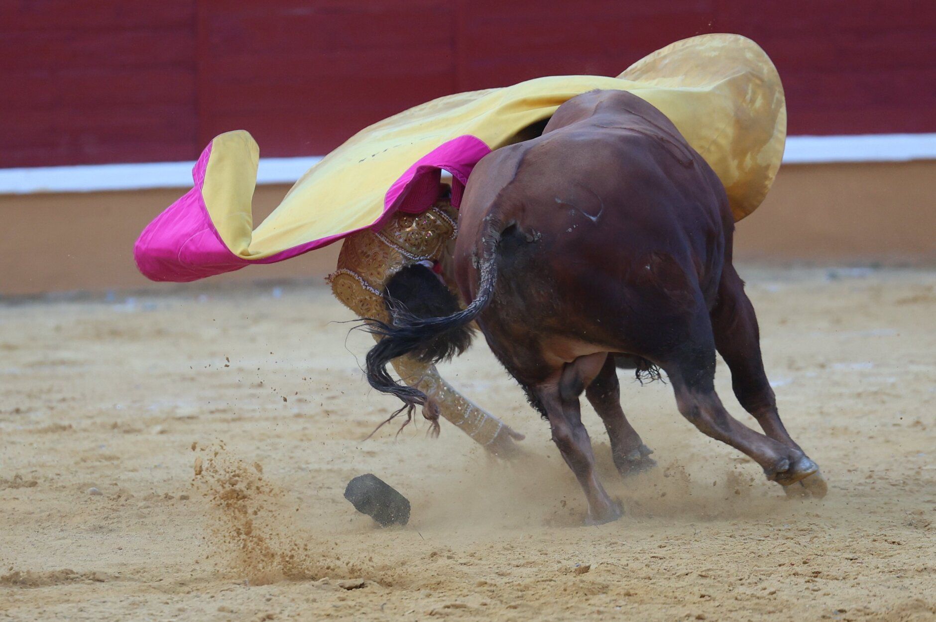 Imágenes del revolcón a Jesús Yglesias en la novillada de las fiestas de Tudela