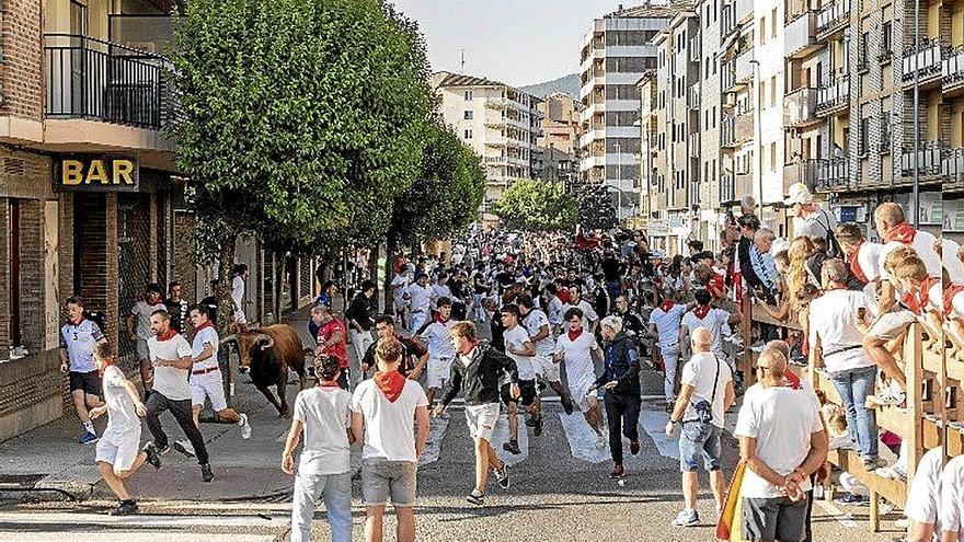 Los novillos llegando a la plaza en la avenida de Yerri, tramo final del encierro matinal.