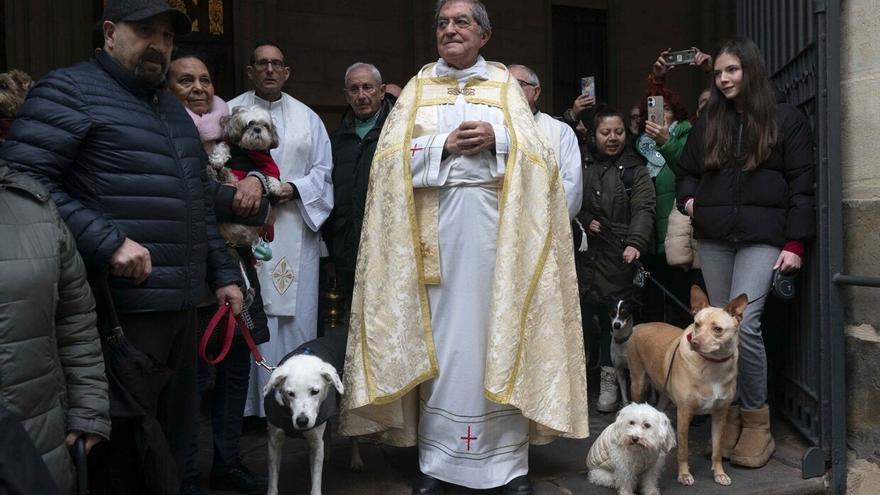 En imágenes: Así ha sido la tradicional celebración de San Antón en Vitoria