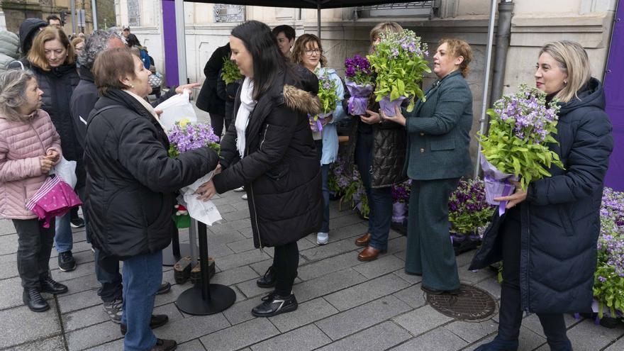 Entre plantas, declaraciones y chapas