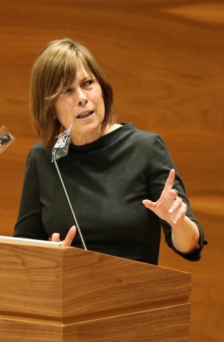 Pleno del Parlamento de Navarra sobre el Covid-19