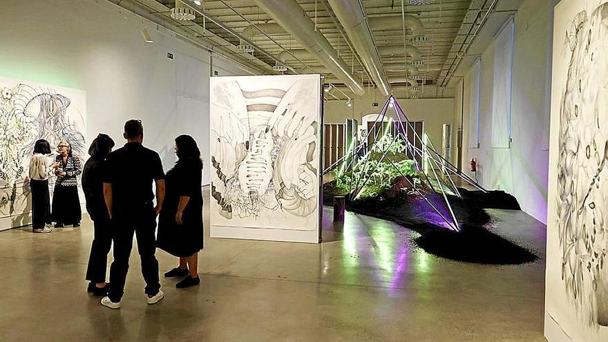 Tabakalera acoge la  primera exposición deMarlene McCarty en  el Estado