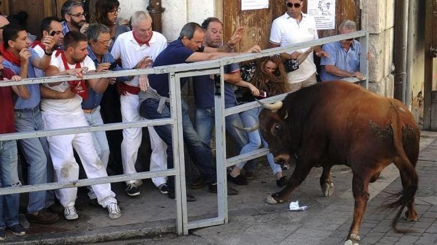 Un vecino de Errenteria ha fallecido tras ser corneado en el encierro de Cuellar