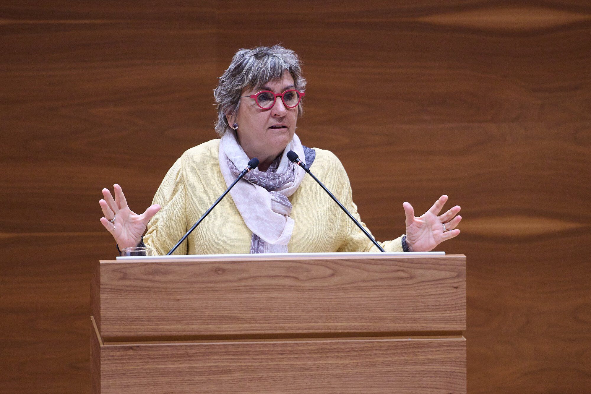 Pleno del Parlamento de Navarra del jueves 2 de marzo