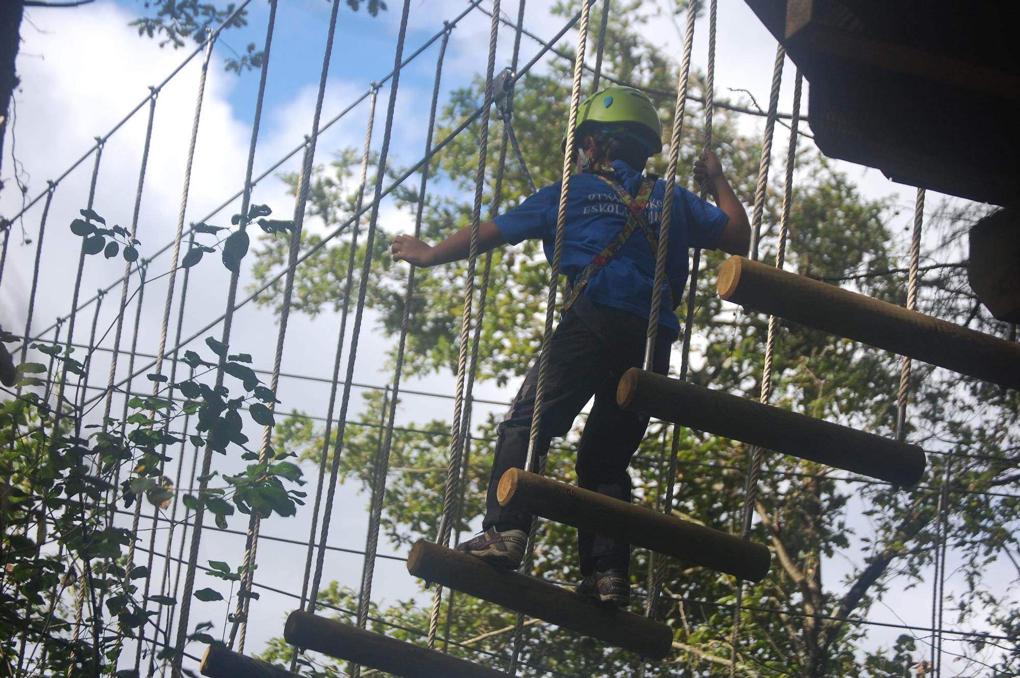 En sus árboles se desarrollan 9 circuitos con más de 80 juegos o retos de todo tipo.