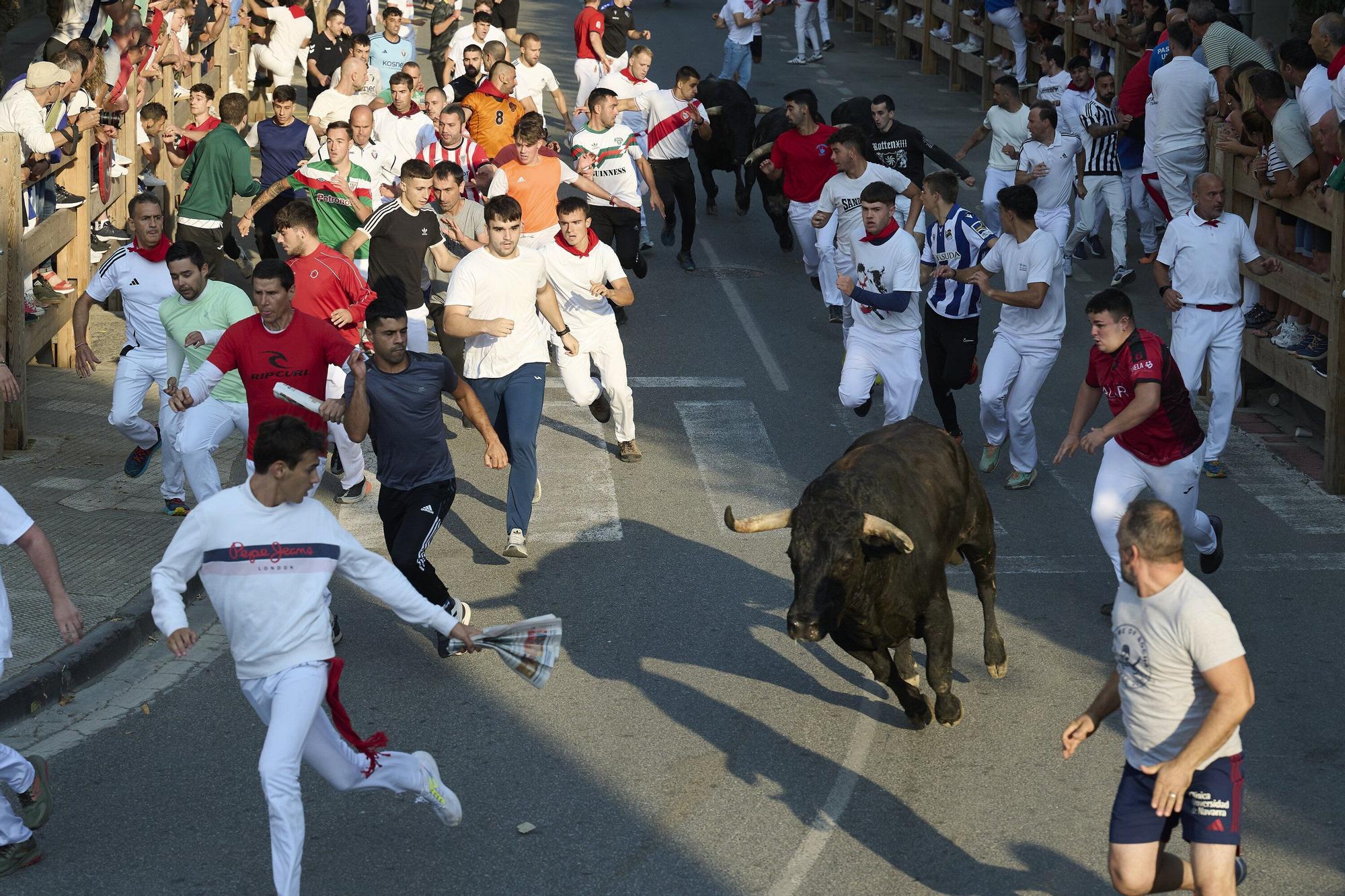 Fotos del primer encierro de fiestas de Tafalla