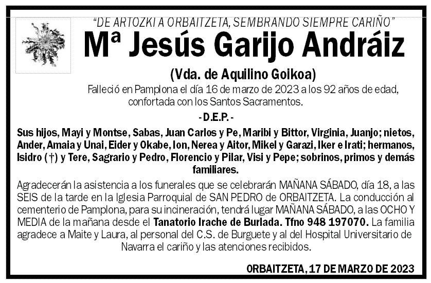 Mª Jesús Garijo Andráiz