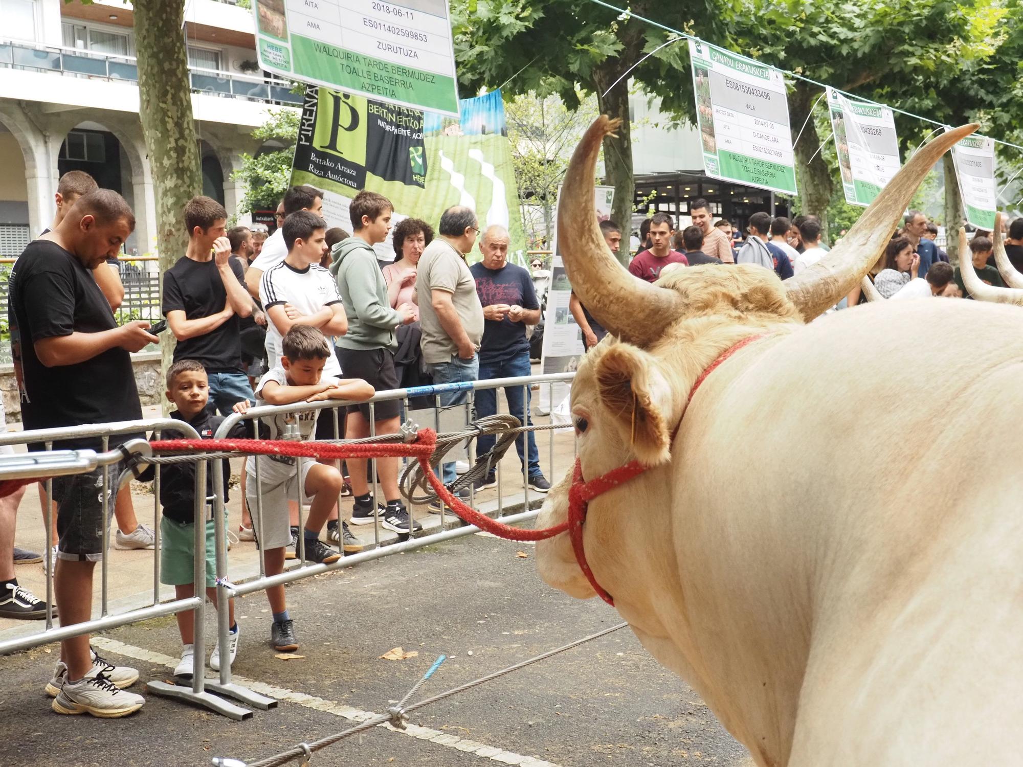 Fiesta total en Azpeitia en el Baserritarren Eguna