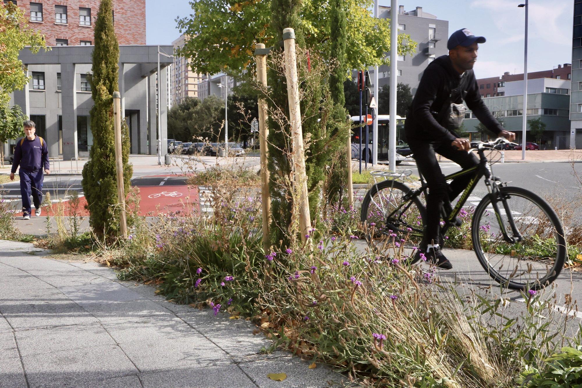 En imágenes: Vitoria-Gasteiz se prepara para adecentar el verde de la ciudad