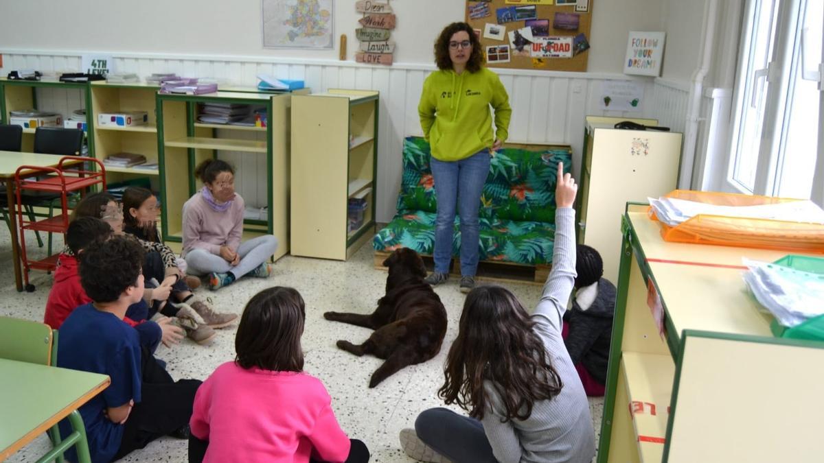 La interactuación con los animales fue antes, durante y después de la vacunación.