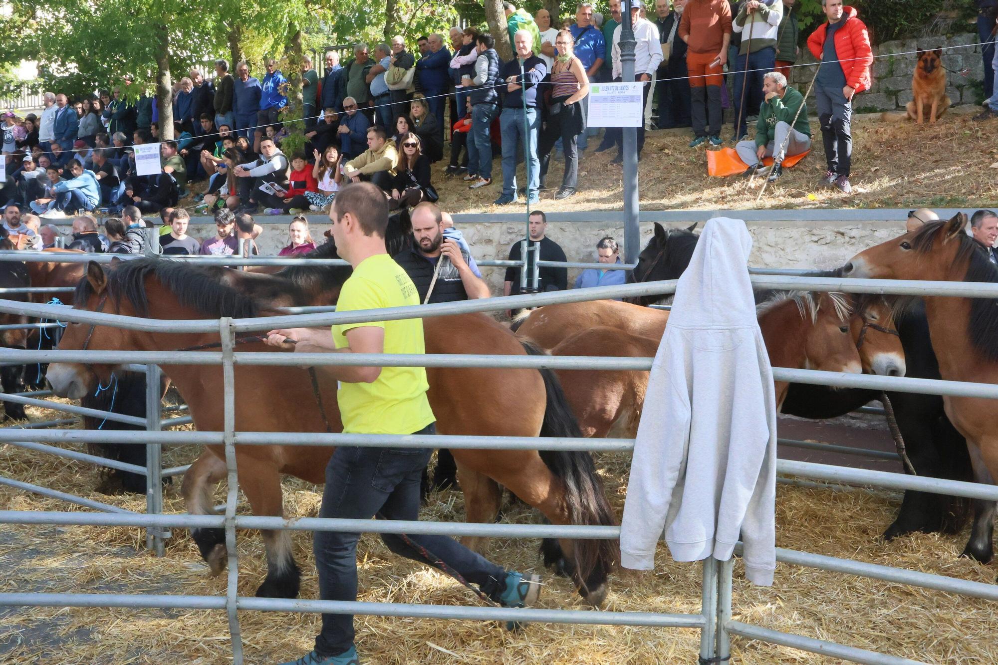 En imágenes: Miles de personas disfrutan de la 630 edición de la feria de Agurain