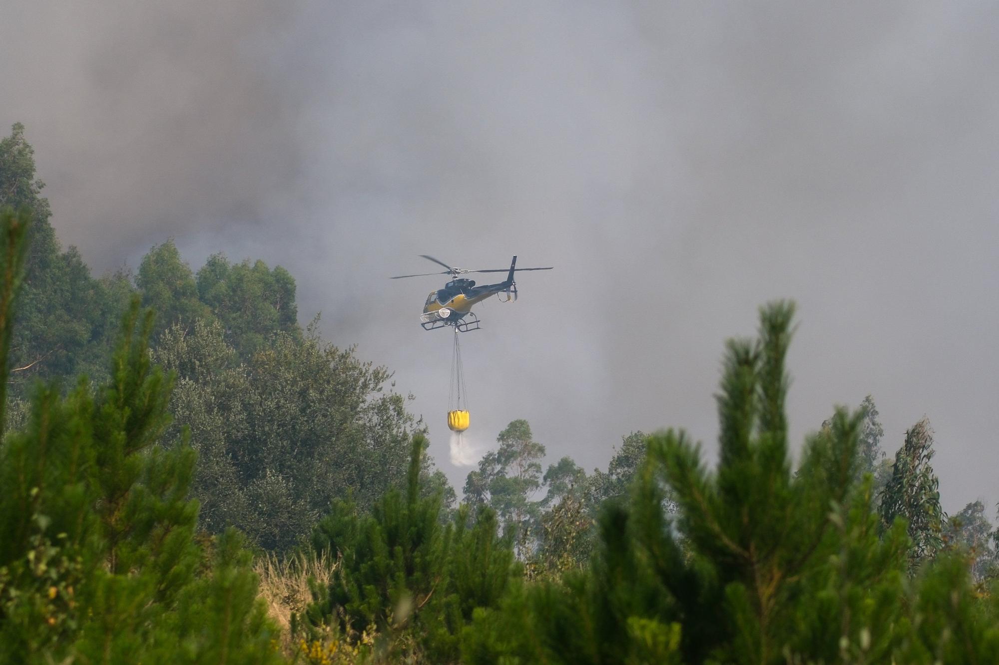 Semana negra de incendios: Cuatro muertos y 120.000 hectáreas quemadas
