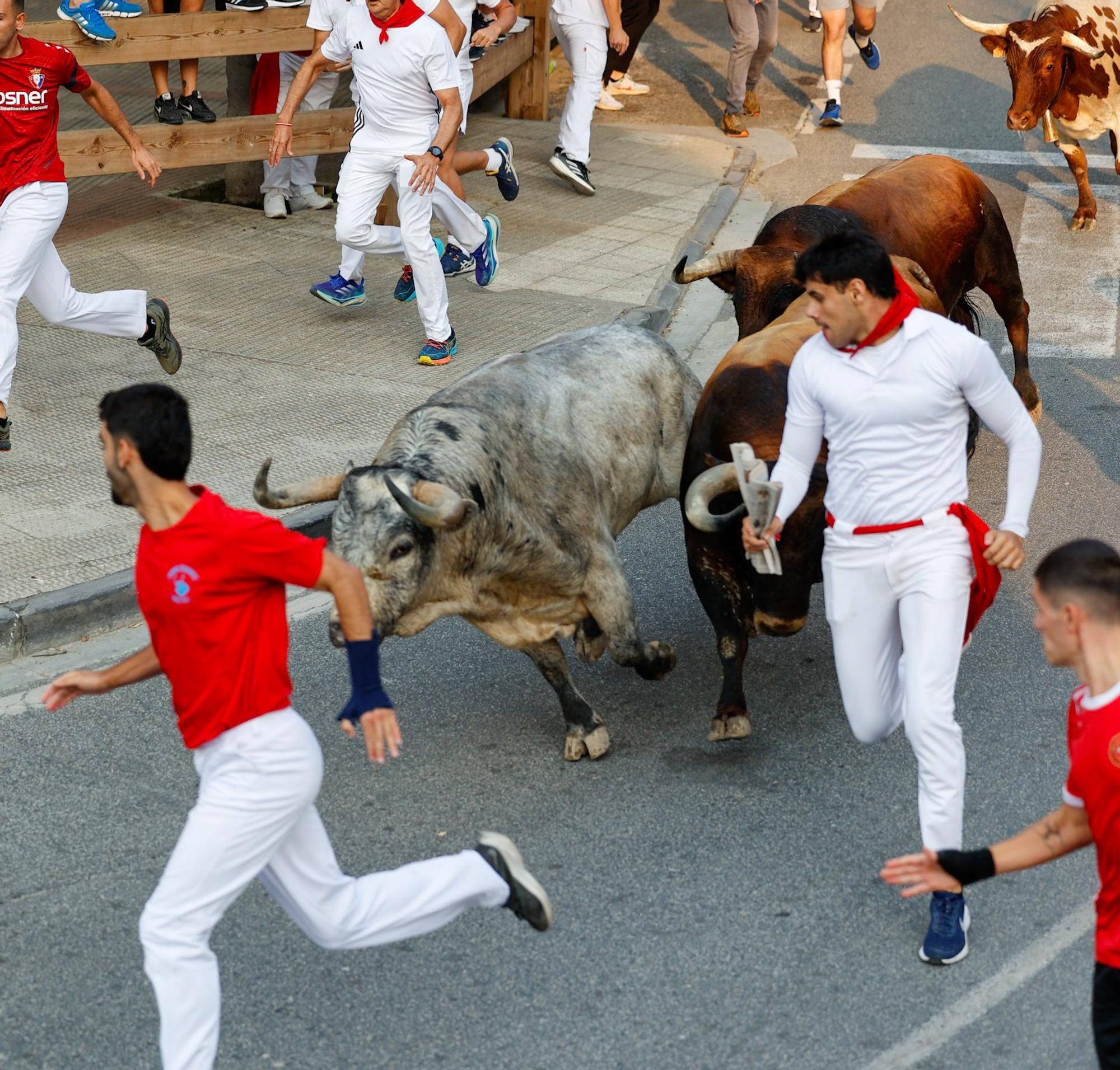 Fotos del tercer encierro de fiestas de Tafalla 2025