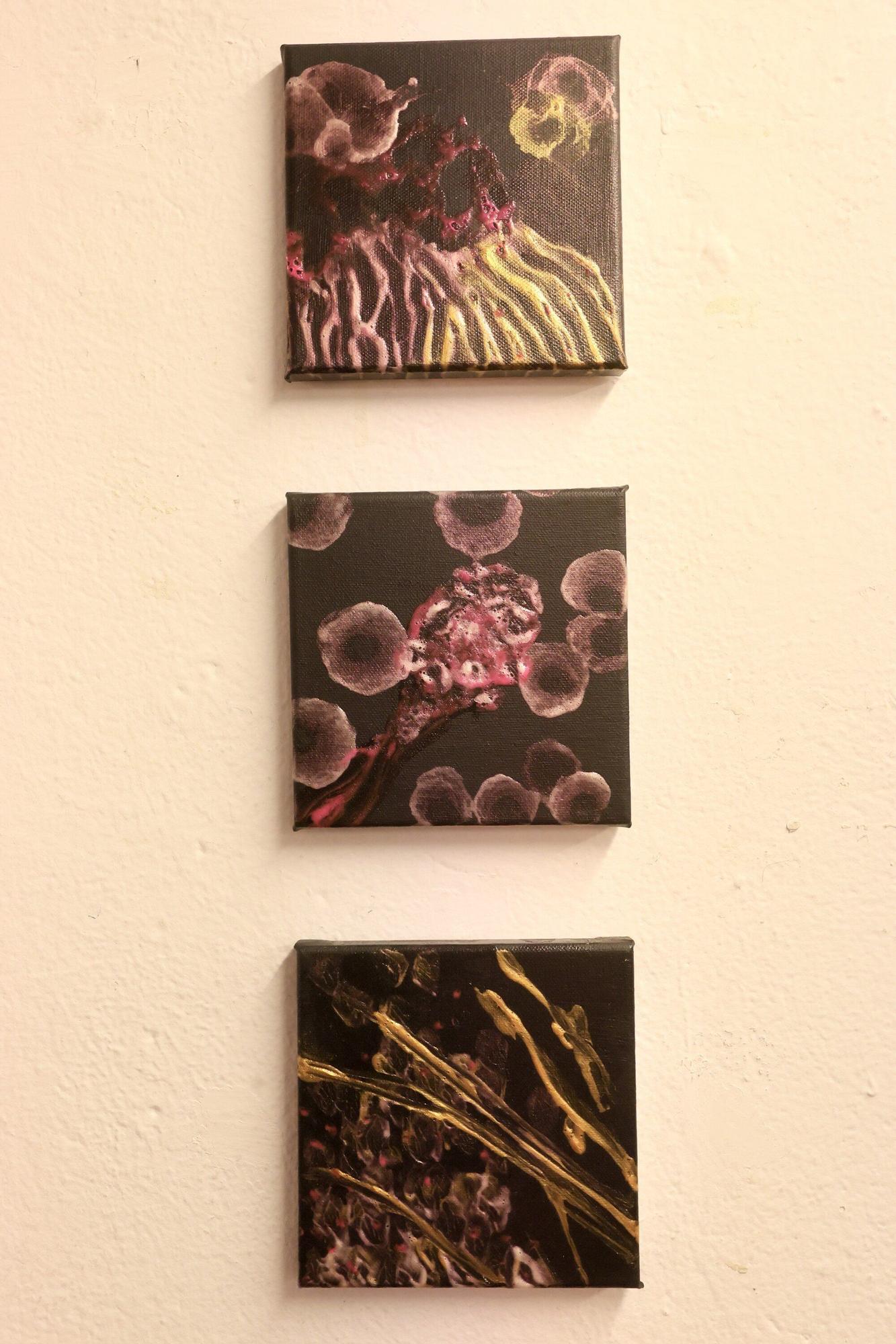 En imágenes: Anabel Quincoces expone en Zuloa