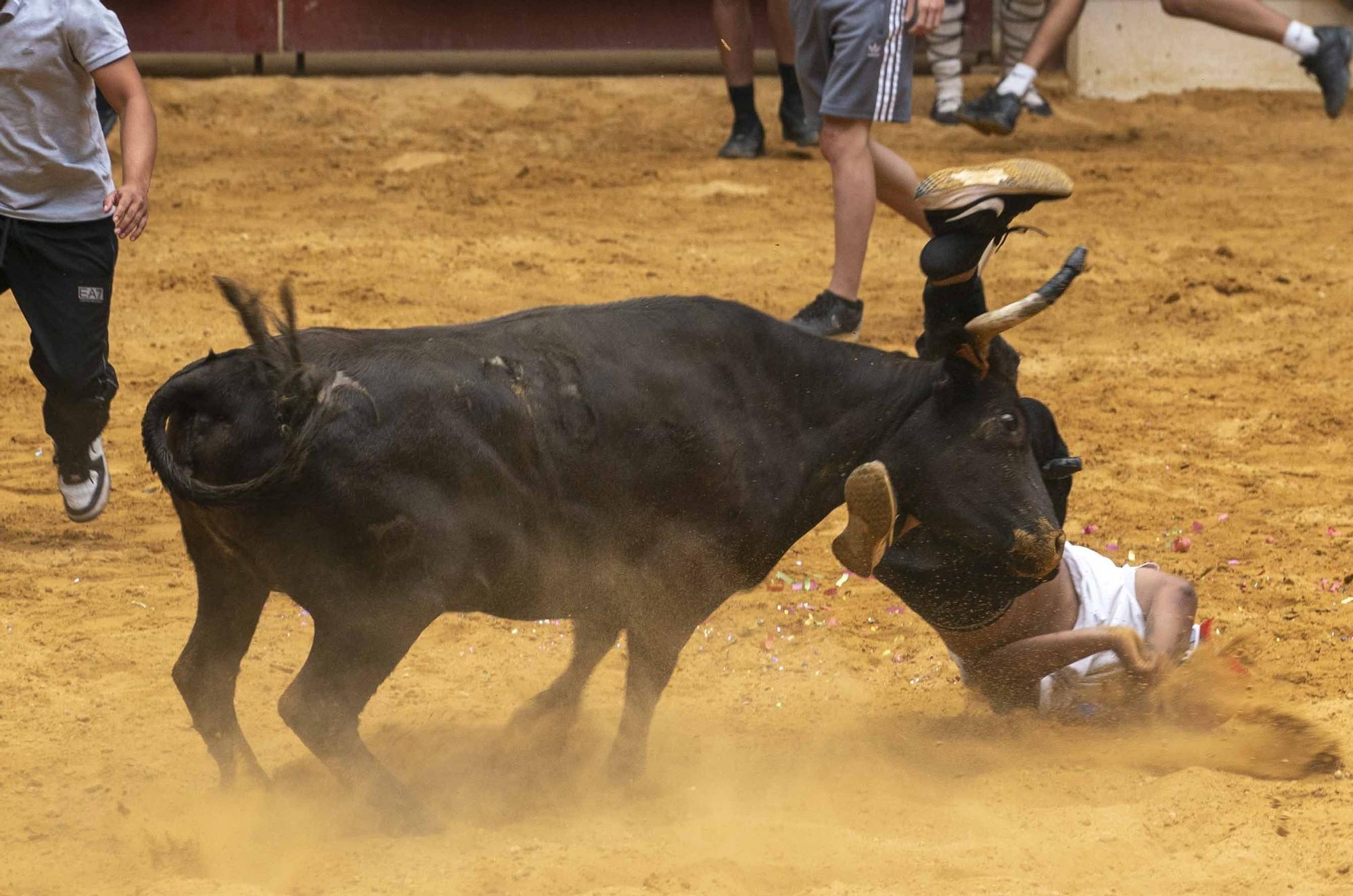 Eb imágenes: Las vaquillas reinan en el Iradier Arena