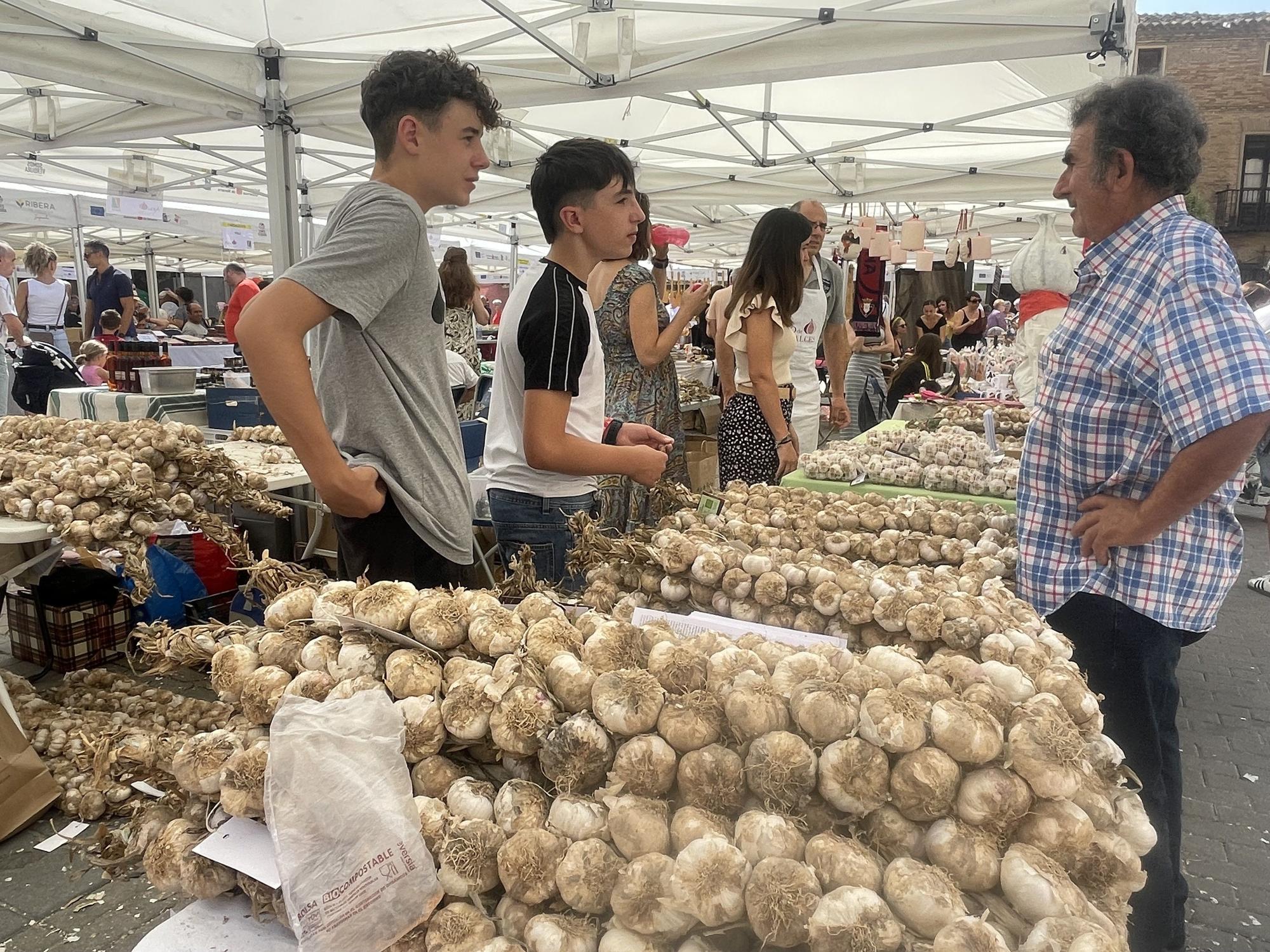Falces celebra el XII Día del Ajo