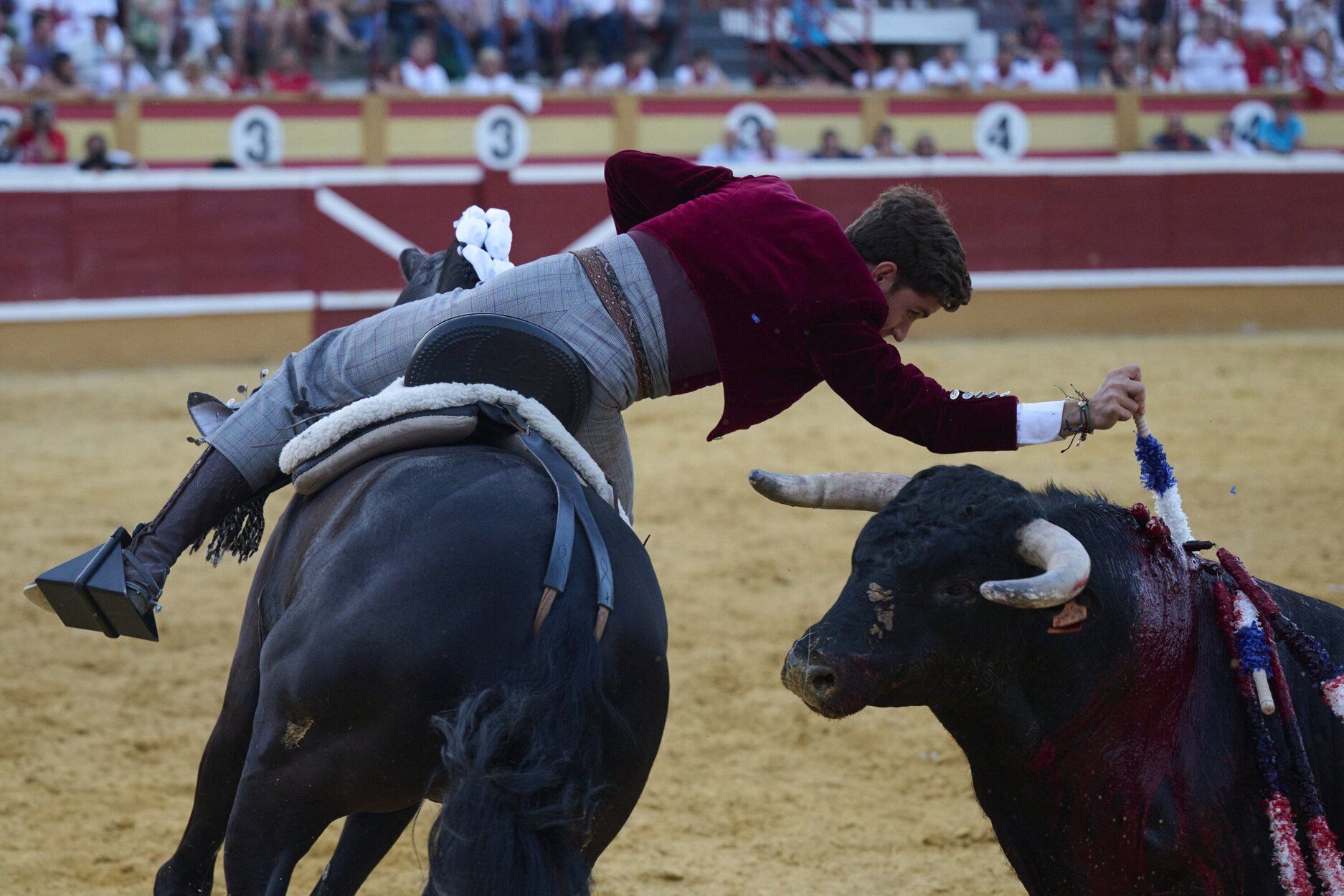 Fotos de la corrida de rejones de este domingo en fiestas de Tudela
