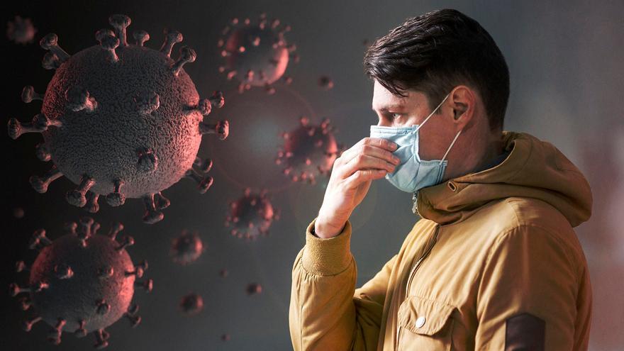La amenaza del hantavirus: así es la rápida evolución de esta infección