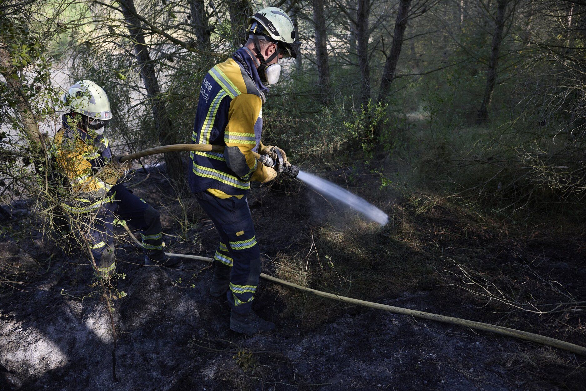 Imágenes de la zona afectada por el incendio en Enériz