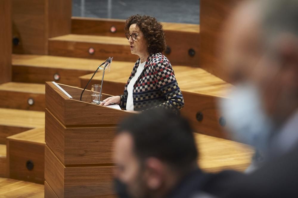 Pleno del Parlamento de Navarra