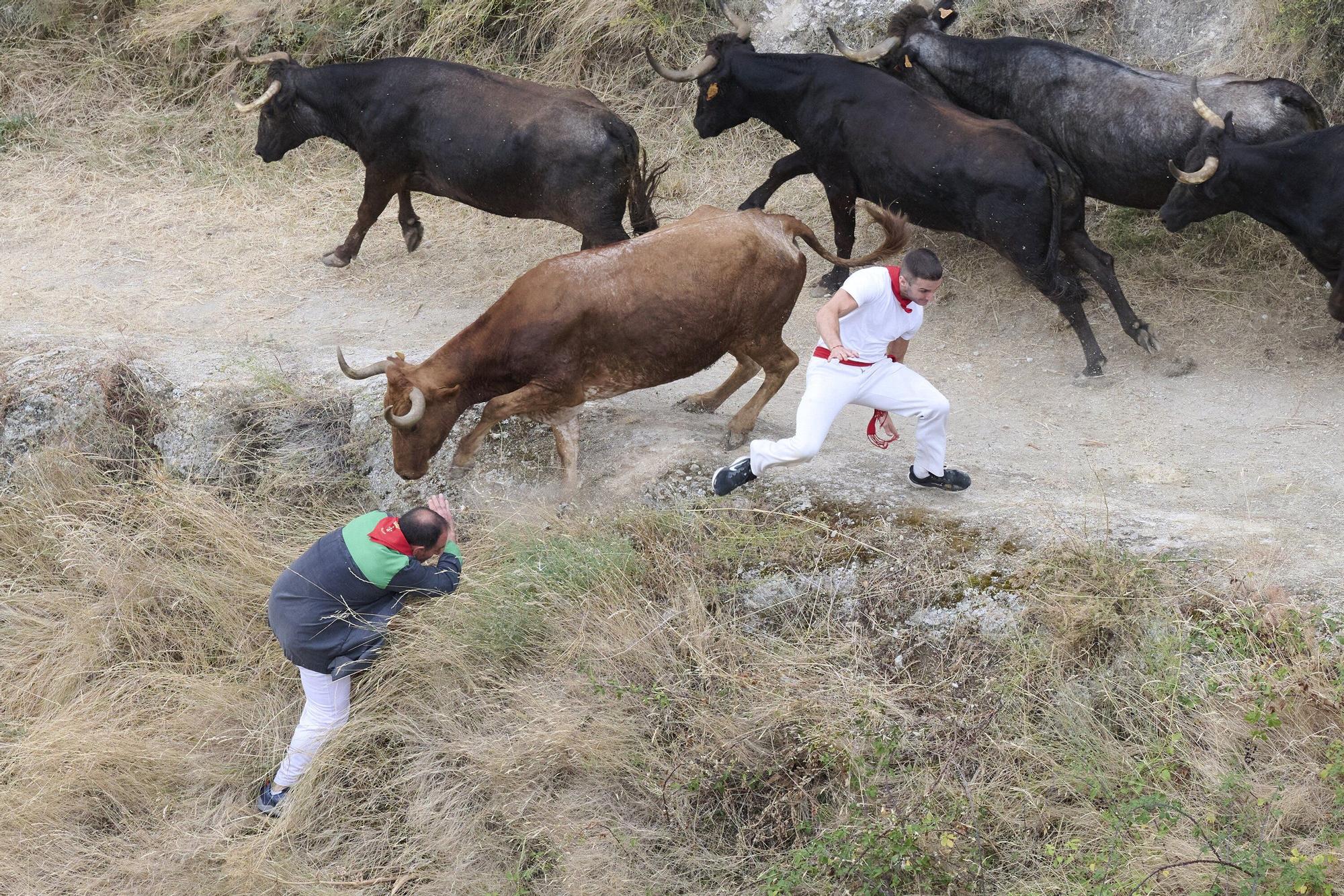 Fotos del tercer encierro del Pilón de Falces 2025