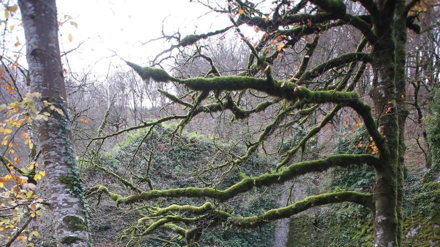 Domingo de otoño en la Real Fábrica de Municiones de Eugi