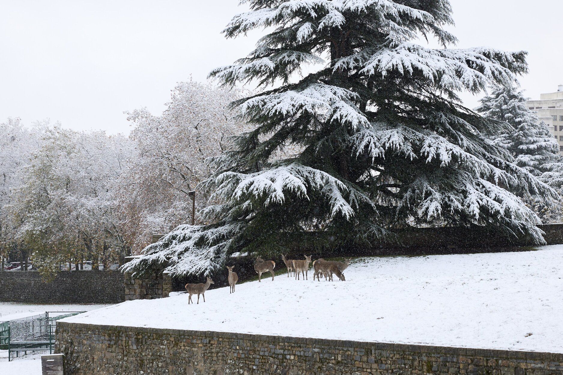 Nieve en Navarra.