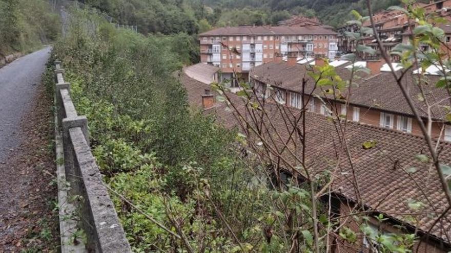 El Ayuntamiento de Bergara iniciará este martes trabajos de desbroce y tala en la ladera de Bolu