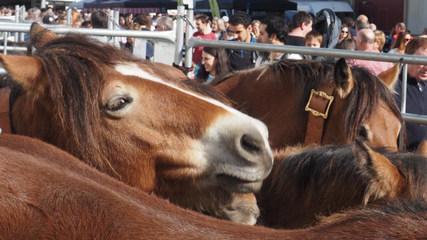La feria de Itziar se prepara para recibir a miles de personas el día de Todos los Santos