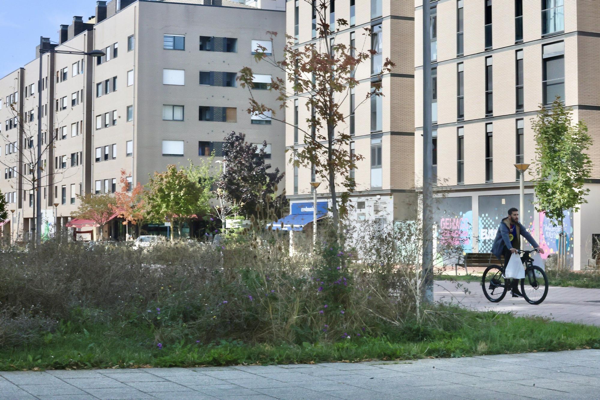 En imágenes: Vitoria-Gasteiz se prepara para adecentar el verde de la ciudad