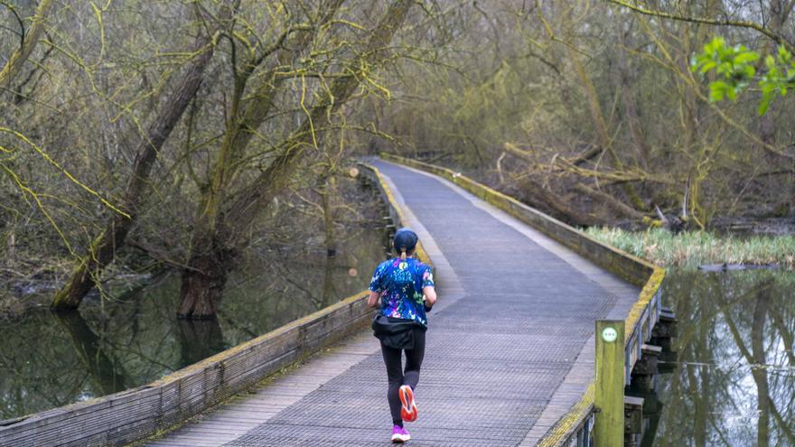 ¿Sabes cuántos alaveses tienen alergia al polen?