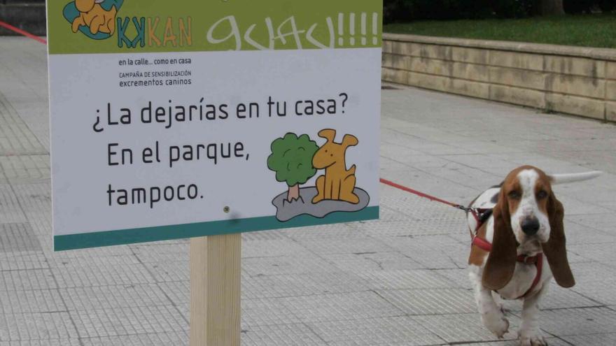 Solo 10 sanciones desde 2023 por no recoger las cacas de perro en Vitoria