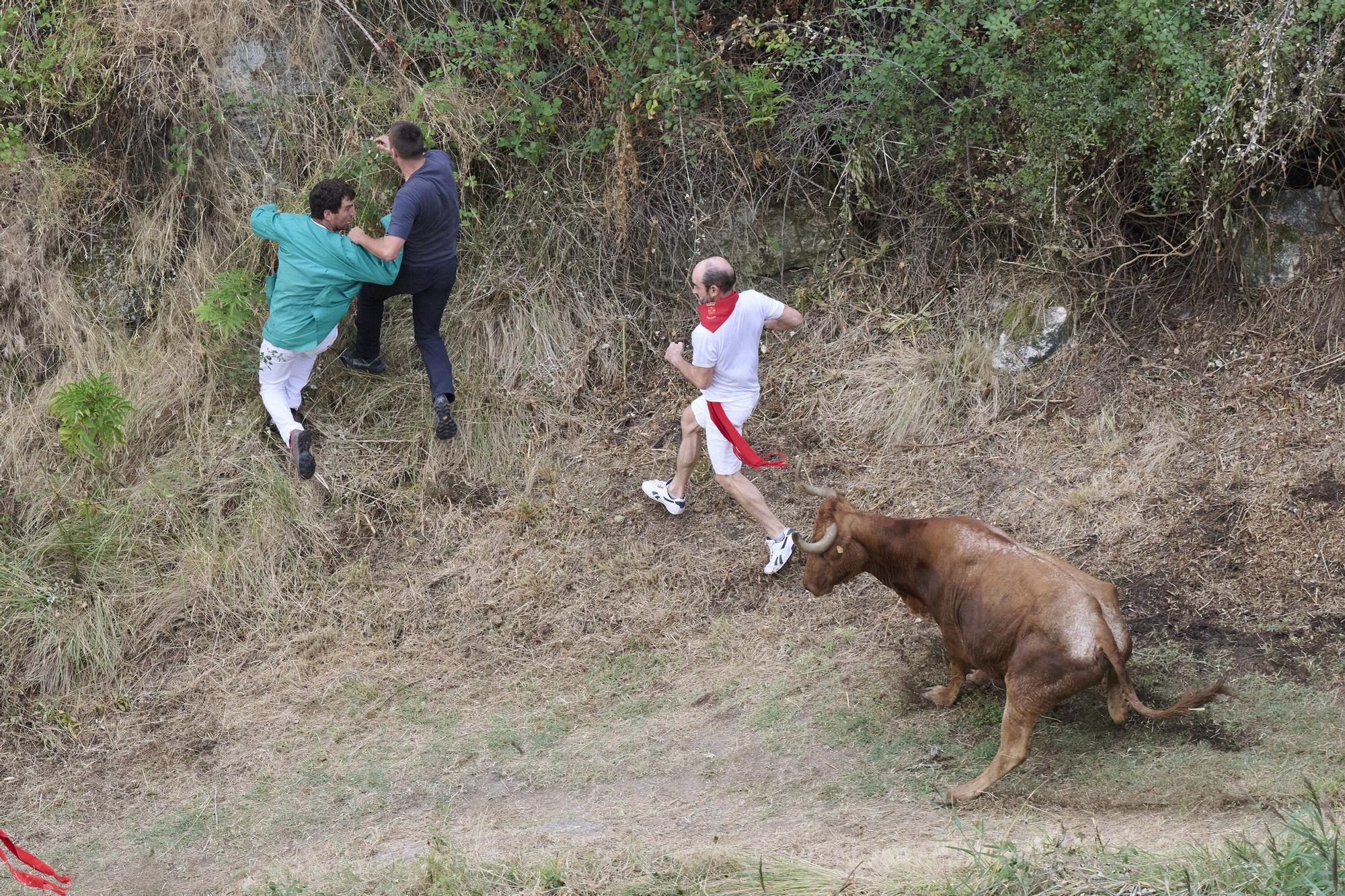 Fotos del tercer encierro del Pilón de Falces 2025