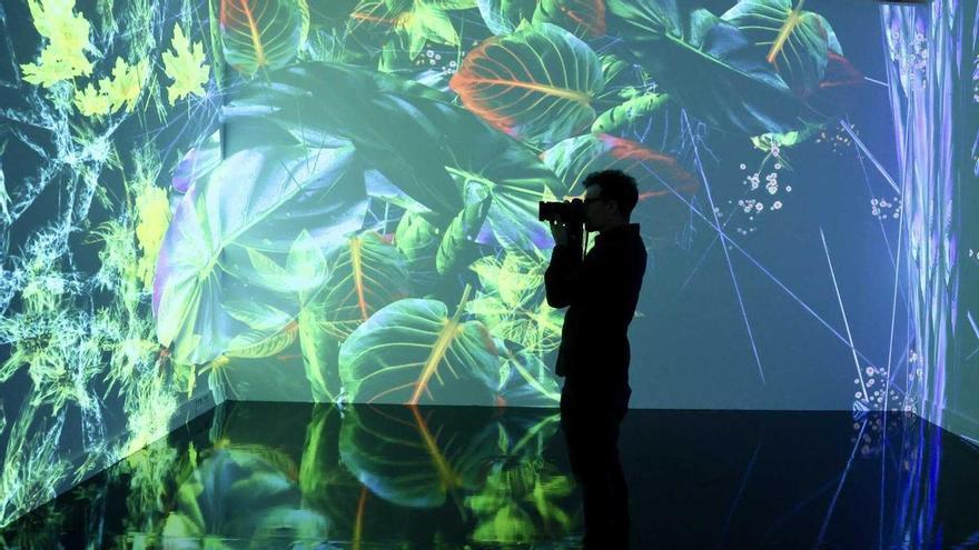Los oasis expositivos de Vitoria