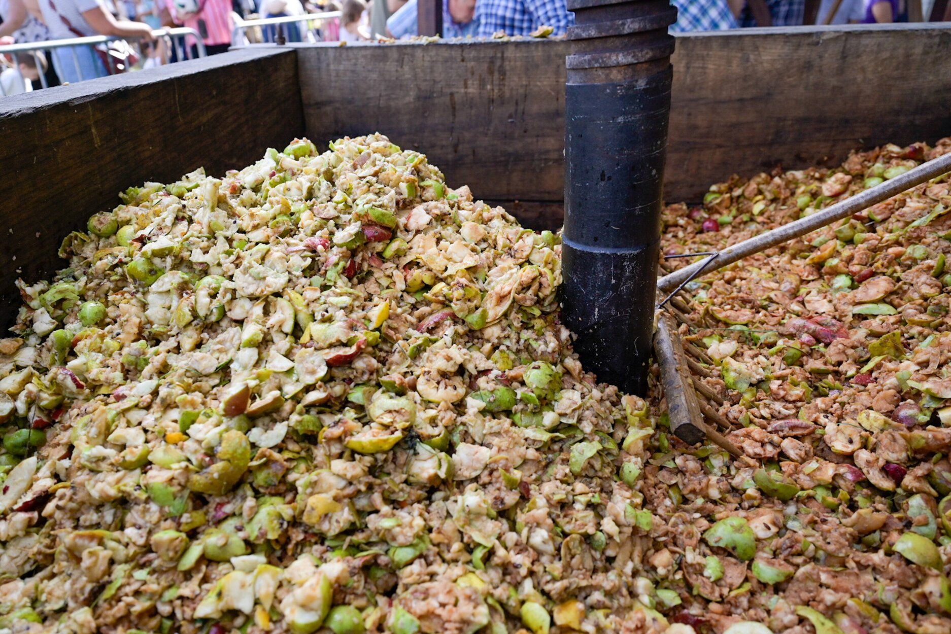 Feria de la cosecha de la manzana en Astigarraga.