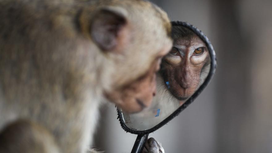 Montehermoso despide este domingo la exposición &quot;World Press Photo&quot;