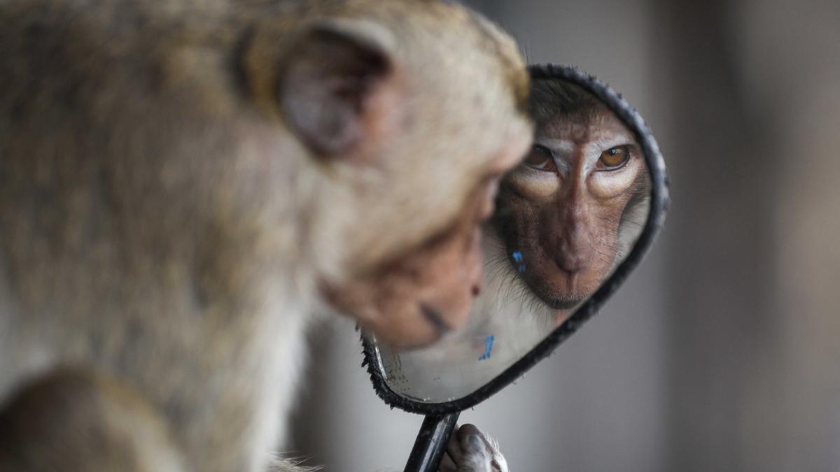 Imagen de Chalinee Thirasupa para Reuters