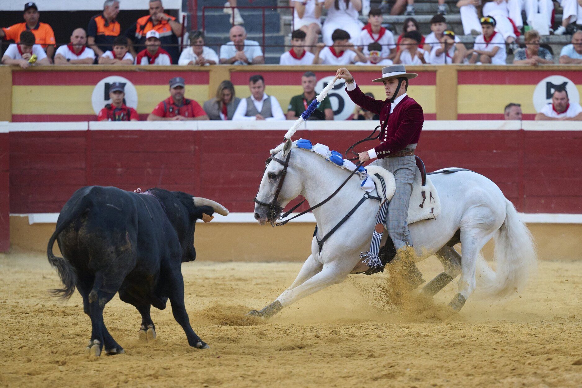 Fotos de la corrida de rejones de este domingo en fiestas de Tudela
