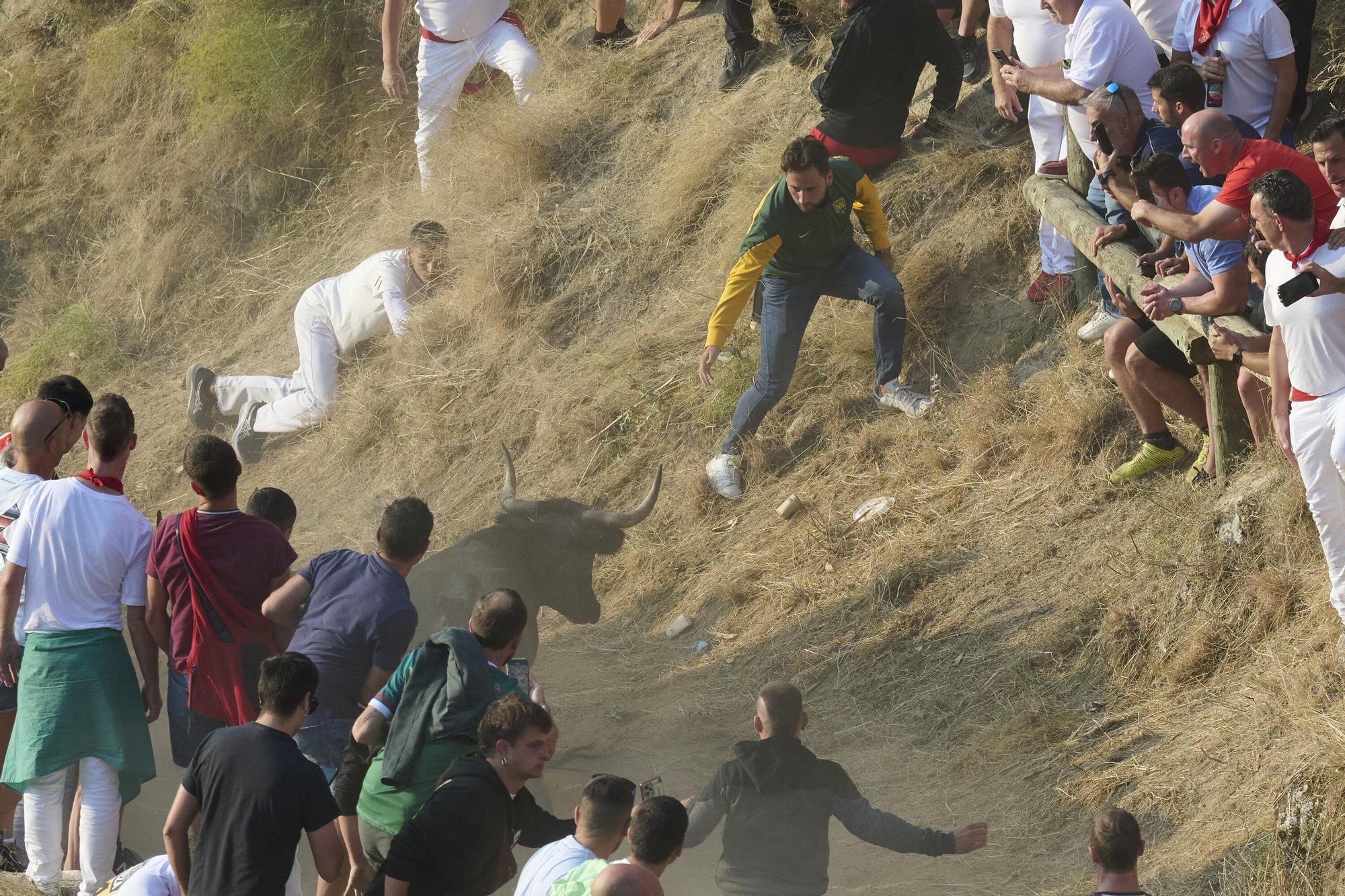 Fotos del último encierro del Pilón de Falces 2025