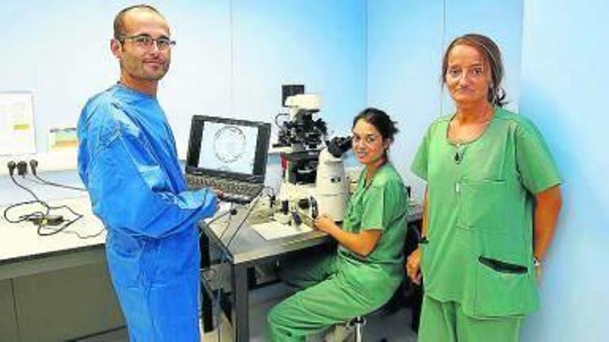 Nuevo método para la selección de embriones según su calidad