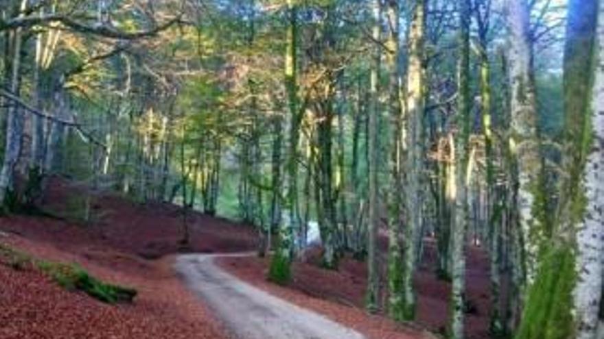 Placeres de otoño en la cuenca del Bidasoa