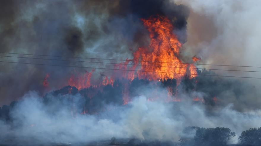 Un incendio forestal de gran magnitud arrasa el pinar de Óriz entre Imárcoain y Beriáin