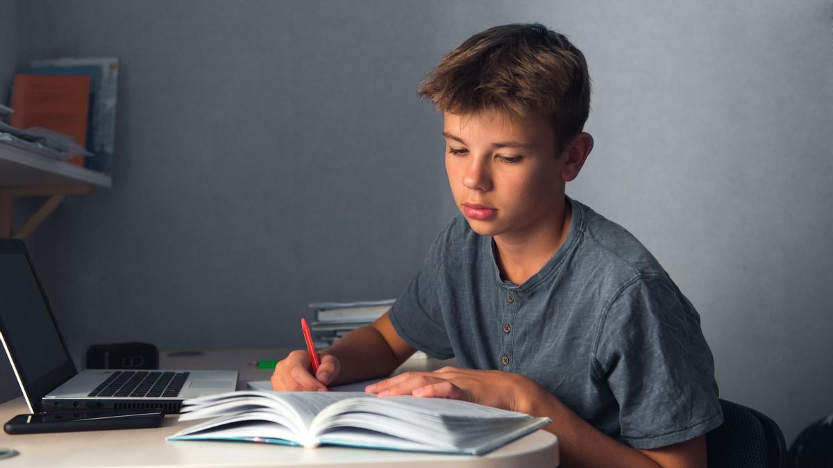 Un adolescente estudia en casa.